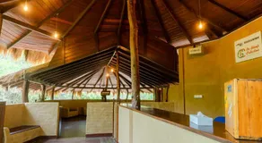 Leopard Nest in Yala - Image 5