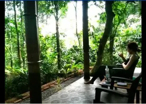 Periyar Green Bed & Breakfast - Image 3