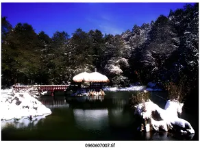 Alishan Shermuh Hotel - Image 4