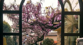 il Glicine B&B RISTORANTE - Image 3