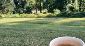 Cozy & Close to DC - Image 5