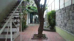 VAMONOS a Monterrey - Image 2