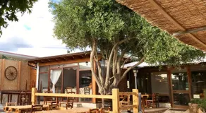 LOCANDA VECCHIA FATTORIA - Image 2