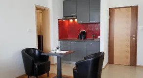 Vila Ema Apartments and Rooms - Image 3