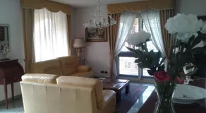 Le Palme - Image 2
