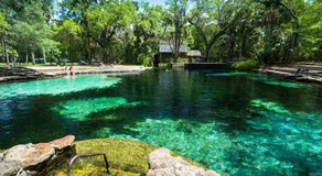 King Bed Studio Near Silver Springs WEC Zipline - Image 3