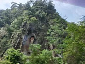Chin - Image 2
