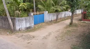 Bird Nest Homestay - Image 5