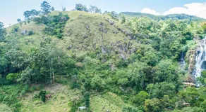 Ella Retreat Hotel Hillside Villa for Nature Lovers - Image 3