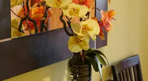 Hotel Rico - Image 3