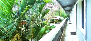 Rising Sun Retreat - Image 4