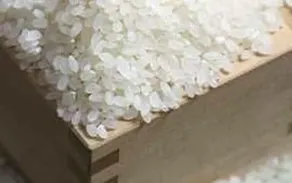 Kyuden Ryokan - Image 3