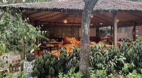 The DIVEResort and Dancing Dugong Cafe - Image 3