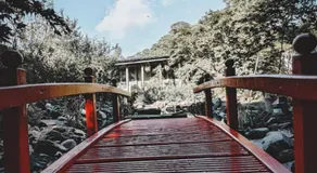 The Studio at Maspie House - Image 5