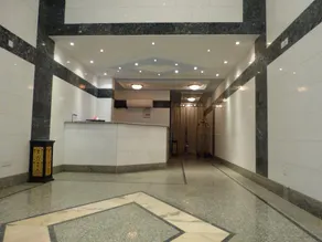 Safa Albawadi - Image 4