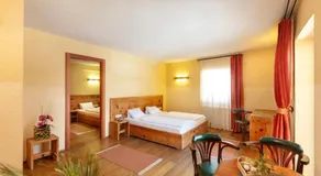 Alpenhof - Image 2