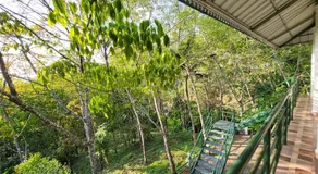 Villa Abu Sulthan - Garden Farm House - Image 4