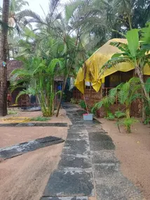 Costatina - Agonda Beach - Image 5