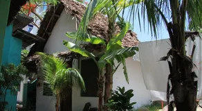HOMELAND SWAHILI LODGE Nungwi Backpacker Apartments BUDGET - Image 3
