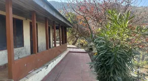 Himalayan Gaze - Image 5