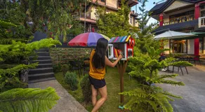 Zostel Shillong - Image 4