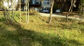 Bethel - Image 4
