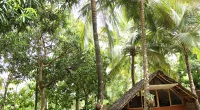 Ariya Tissa - Image 5