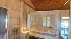 North Pine Forest Homestay บ้านไม้สนโฮมสเตย์ - Image 2