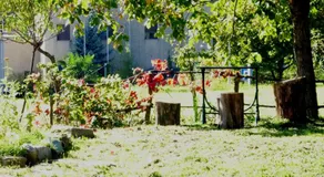 IL FAGGIO ROSSO - Image 4