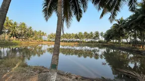 Palm Groove Holiday Home - Image 5