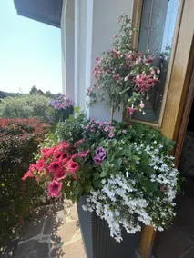 Wellness Penzion Gabreta - Image 5