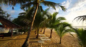 Carabao Island Beach Camp - Image 3