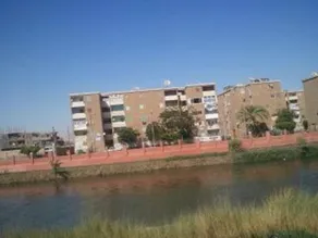 Nile Hug - Image 3