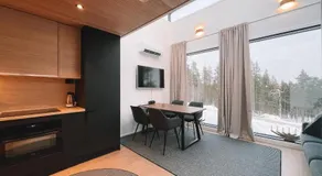 Levi Sensu - Levi Sky Igloos - Image 2