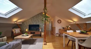 Plant Apartment - Großer Balkon mit Grill - Schwarzwald und Schwäbische Alb - Image 2