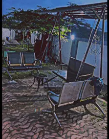 White Rose Villa - Image 4