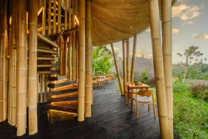 Jungleight Bali - Image 4