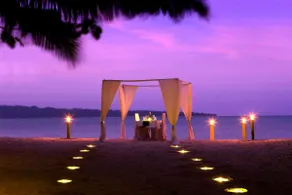 Wild Orchid Resort - Havelock Island - Image 2