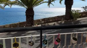Bellissima Cervo - Image 4