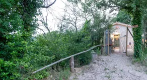 La Limonaia - Image 4