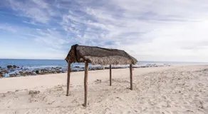 Vinorama EastCape - Image 4