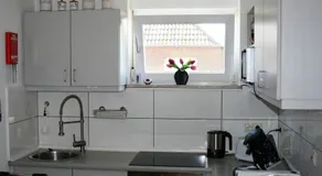 Haus-Turmspucker - Image 3
