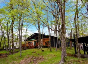 MOSS JURIGI CAMP RESORT - Image 5