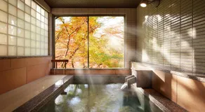 Nanaeyae - Image 3