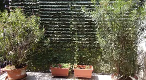 Forte House - Image 3
