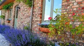 B&B Lora - Image 5