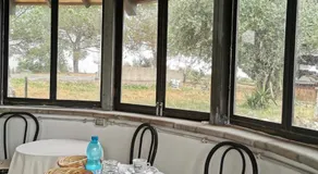 Villa Dei Romani - Country House - Image 3