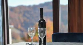 Apartmani Krstojević Kopaonik - Image 4