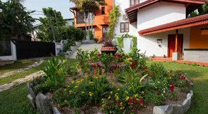 Breeze of Paradise - Image 4