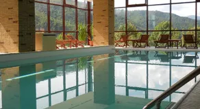 Hotel Valea cu Pesti - Image 2